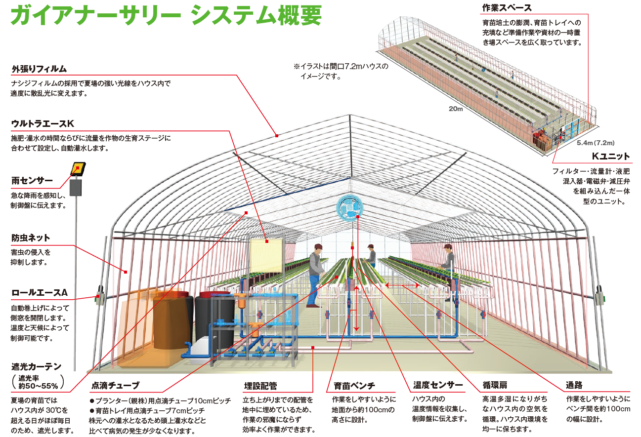 ビニールハウス栽培だからできる！安心・安定のイチゴ栽培_ シリーズ「最適な農業用ハウスで強固な経営」Vol.3｜アグリウェブ